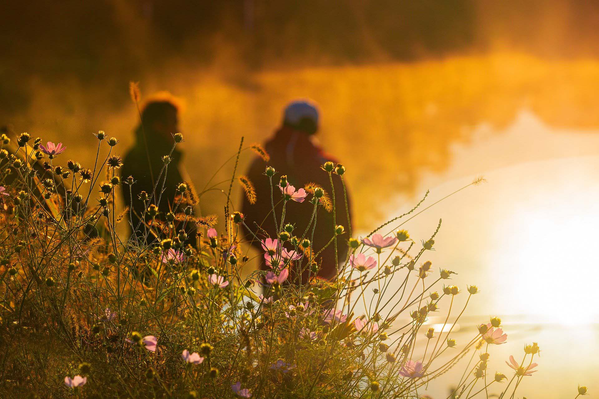 Huomioidaan omainen